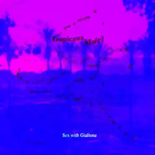 Cover di We had a room at Tropicana Motel