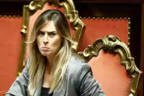 Cover di Per gli appassionati dei Boschi