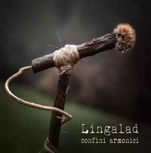 Cover di Confini Armonici