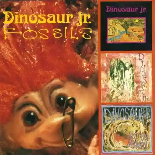 Cover di Fossils