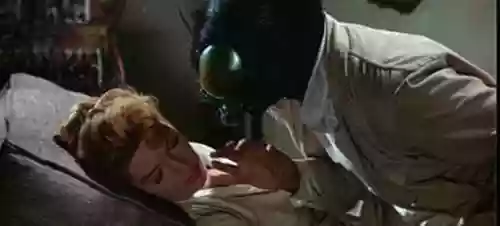 Cover di The Fly (L'esperimento del dottor K)