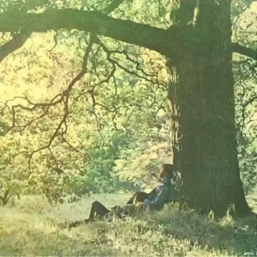 Cover di Plastic Ono Band
