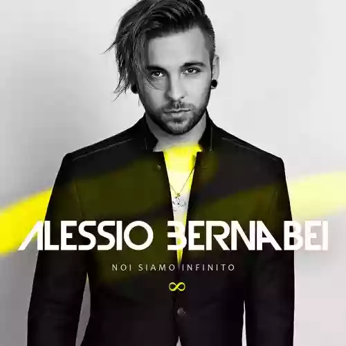 Cover di Noi Siamo Infinito