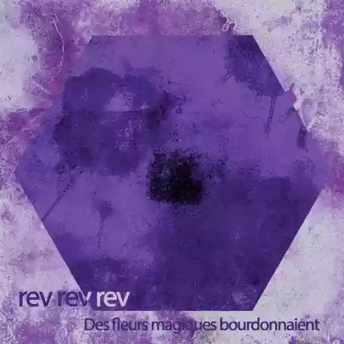 Cover di Des Fleurs Magiques Bourdonnaient