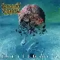 <b>Malevolent Creation</b> • Stillborn