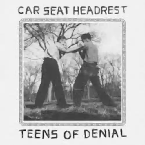 Cover Car Seat Headrest - Teens of Denial