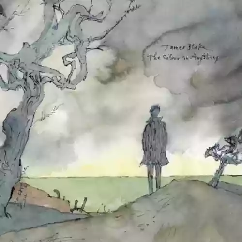 Cover di The Colour in Anything
