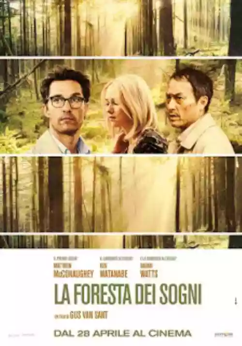 Cover di La foresta dei sogni 