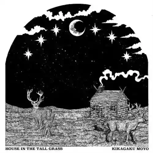 Cover di House in the Tall Grass 