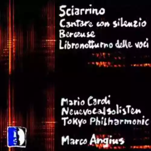 Cover di Cantare con silenzio