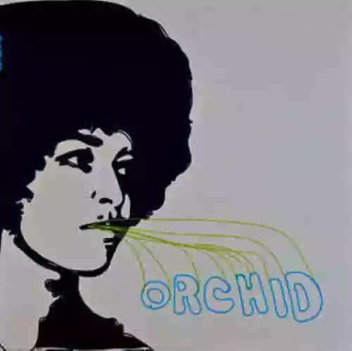 Cover di Gatefold