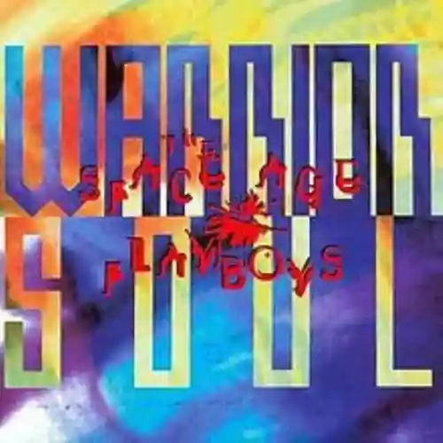 Cover di The Space Age Playboys