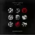 <b>twenty one pilots</b> • Blurryface