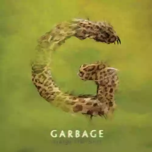 Cover di Strange Little Birds