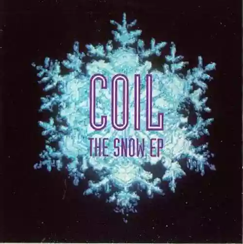 Cover di The Snow