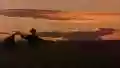 <b>Terrence Malick</b> • I Giorni del Cielo