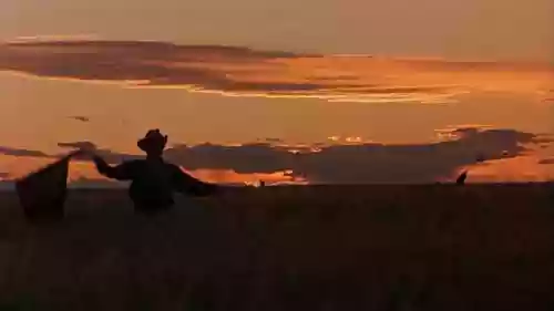 Cover Terrence Malick - I Giorni del Cielo