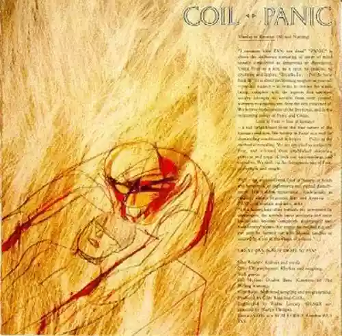 Cover di Panic / Tainted Love