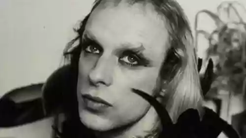 Cover Brian Eno - Brian Eno