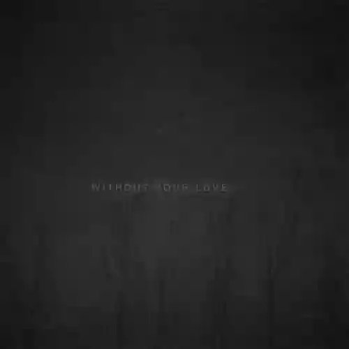 Cover di Without Your Love