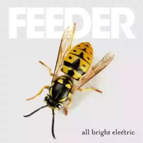 Cover di All Bright Electric (Deluxe Edition)