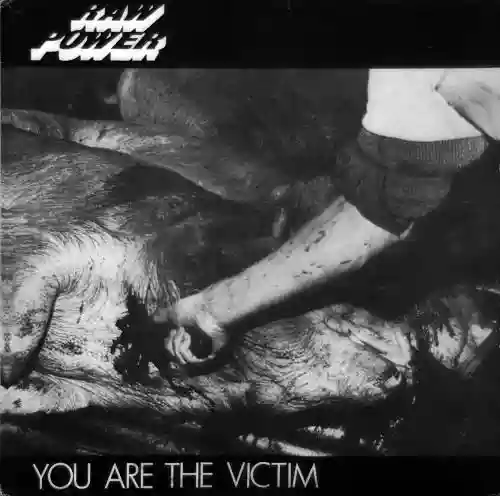 Cover di You Are the Victim