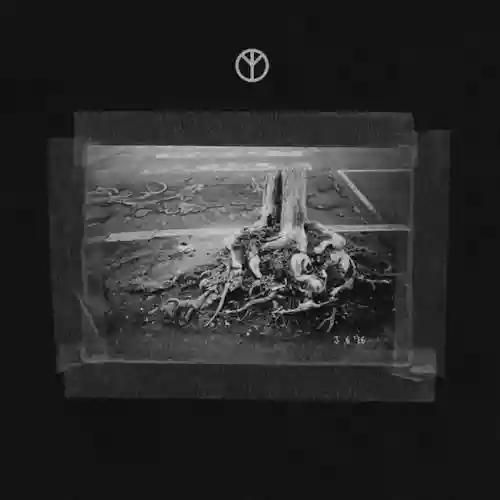 Cover di Tangle EP