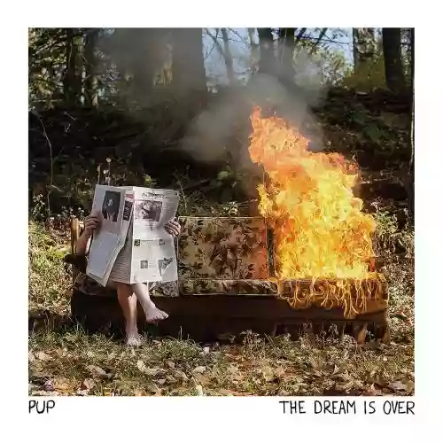 Cover di The Dream Is Over