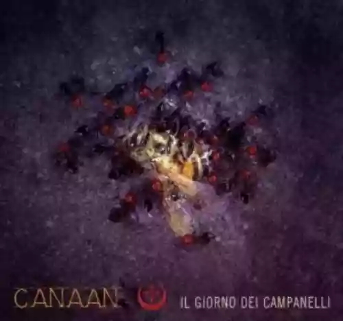 Cover di Il giorno dei campanelli