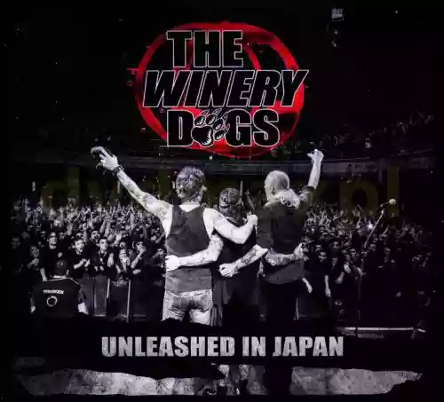 Cover di Unleashed in Japan 2013