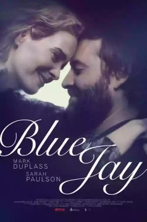 Cover di Blue Jay