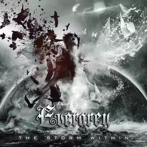 Cover di The Storm Within