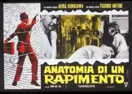 Cover di Anatomia di un Rapimento