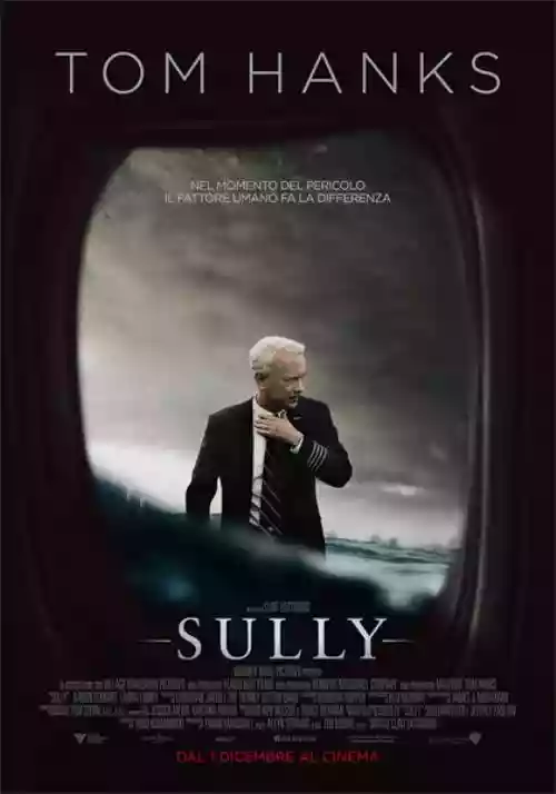 Cover di Sully