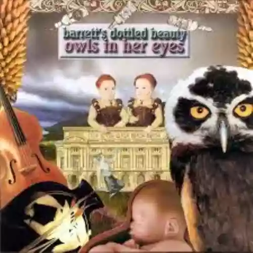 Cover di Owls In Her Eyes