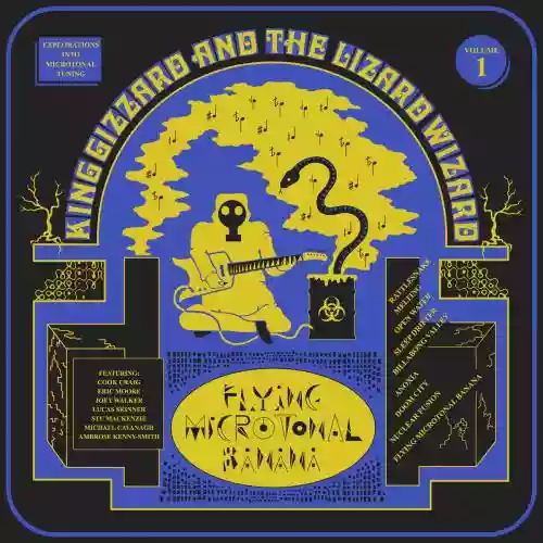 Cover di Flying Microtonal Banana