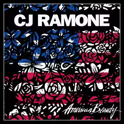 Cover di American Beauty