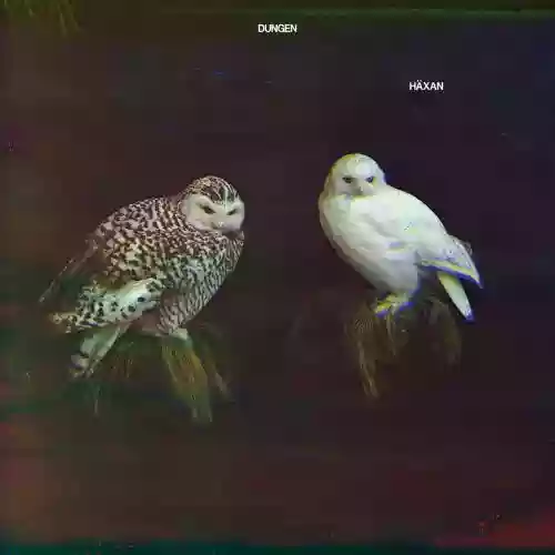 Cover di Häxan
