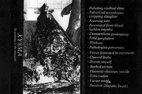 Cover di Swarming of the Maggots