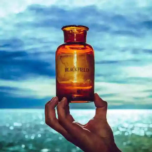 Cover di Blackfield V