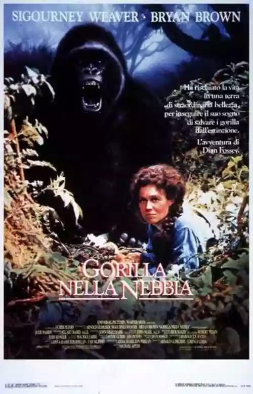 Cover di Gorilla nella nebbia