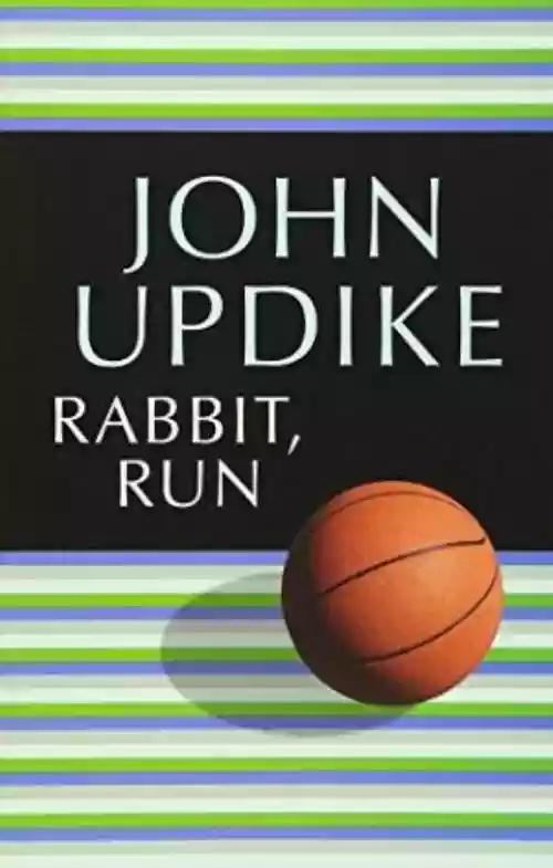 Cover di Rabbit, Run