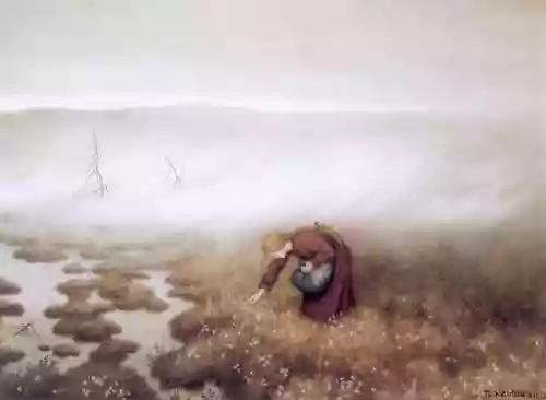 Cover di Peculiar Storms