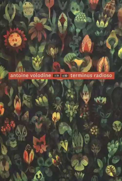 Cover di Terminus radioso