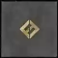 <b>Foo Fighters</b> • Concrete And Gold
