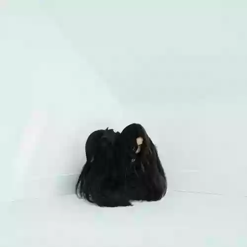 Cover Chelsea Wolfe - Hiss Spun