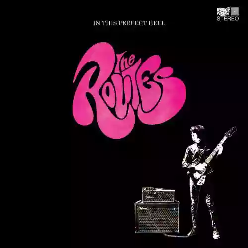 Cover di In This Perfect Hell