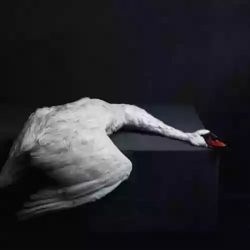 Cover Amenra - Mass VI