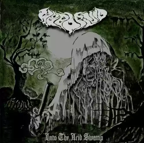 Cover di Into the Acid Swamp