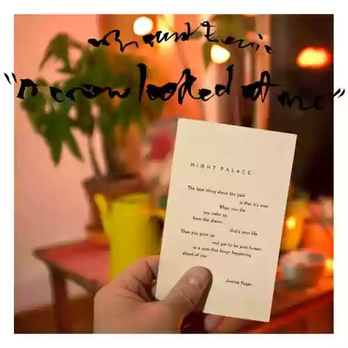 Cover Mount Eerie - A Crow Looked at Me